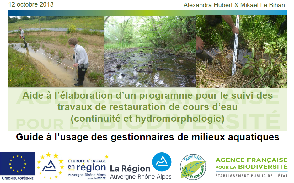 3-Aide à l'élaboration d'un programme pour le suivi des travaux de restauration de cours d'eau - A.HUBERT et M.LE BIHAN - AFB