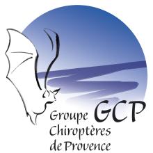 LogoGCP