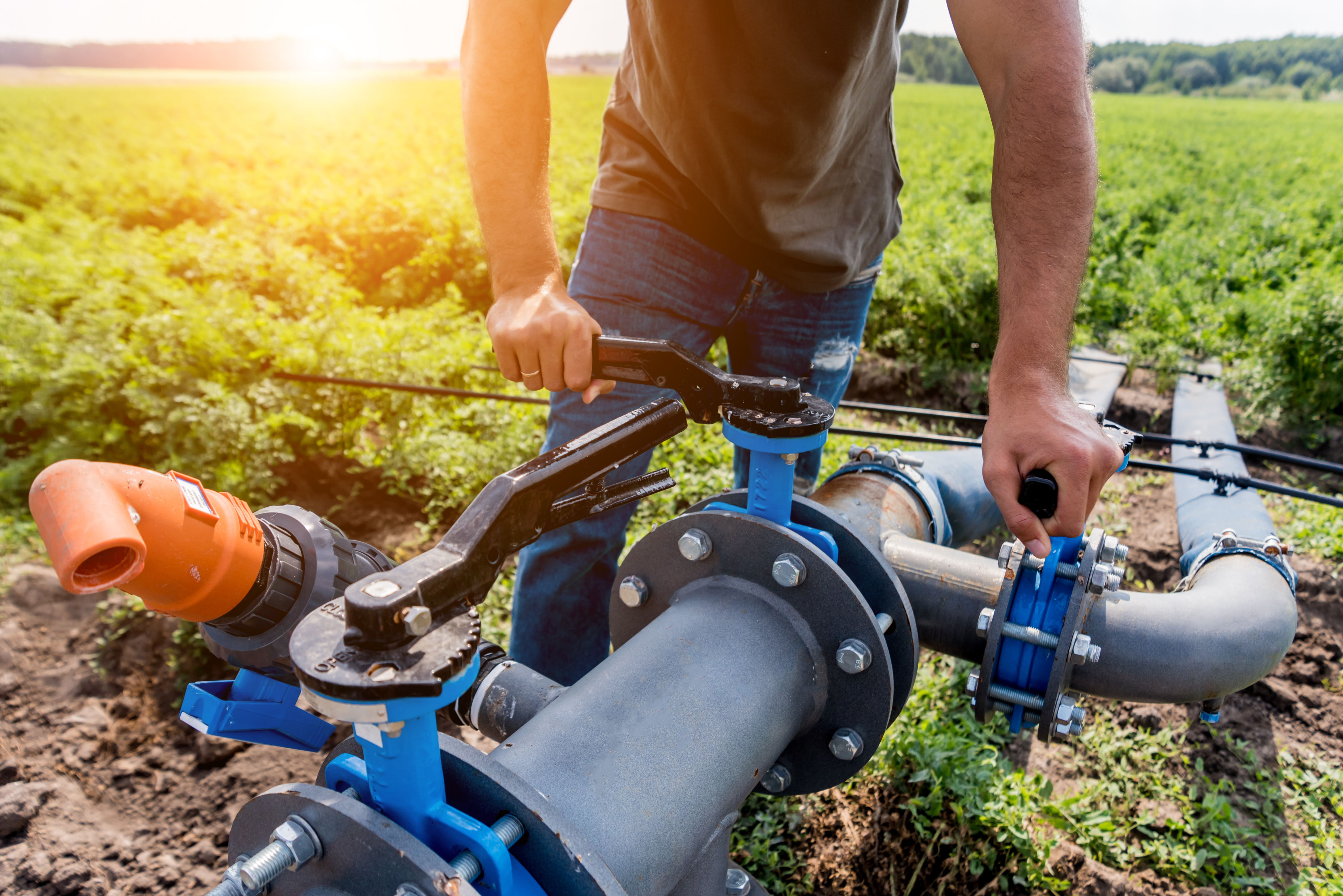 Usages de l'eau en agriculture - Adobe Stock