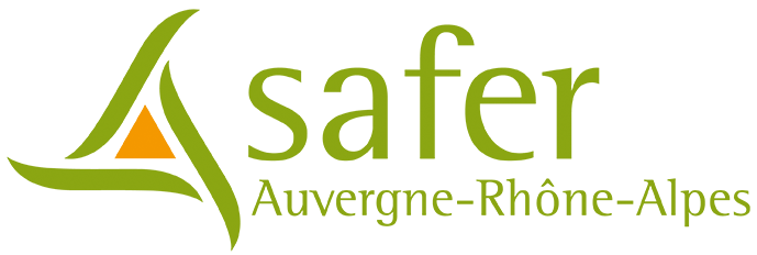 Logo SAFER