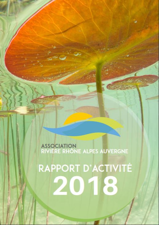 Rapport d'activité 2018