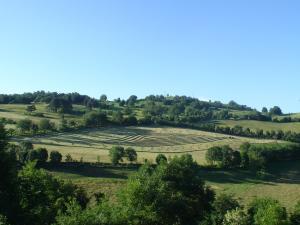 Bocages - Mission Haies Auvergne