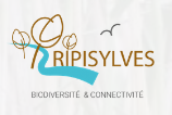 Logo IBC ripisylve