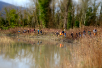 Pêche aux cas pratiques - Casier de Malourdie sur le Rhône