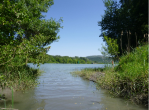 Pêche aux outils scientifiques ZABR