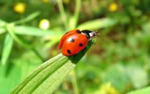 Diagnostics d'exploitations agricoles