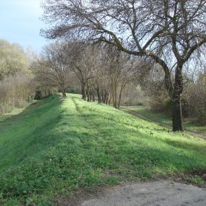 Digues de l'ancienne Aude - Patrice Mériaux