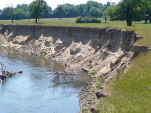 Erosion de berge sur l'Allier (03) - Dynamique Hydro