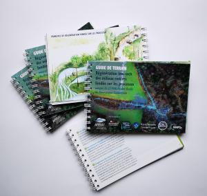 Guide francophone RLTFP
