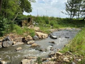 Restauration de la continuité écologique sur le Formans - 2021 - CCDSV