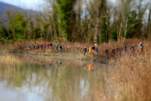 Pêche aux cas pratiques - Casier de Malourdie sur le Rhône