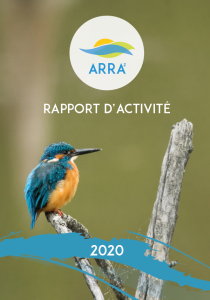 Rapport d'activite 2020