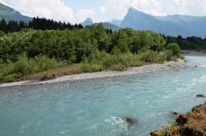 Ripisylve sur le Giffre - N.Valé