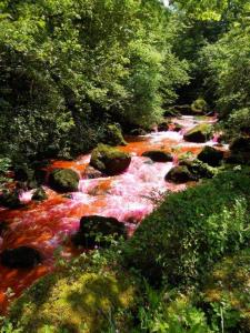 Traçage participatif sur l'Hyères (73) en massif karstique - PNR de Chartreuse
