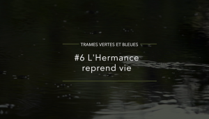 #6-L'Hermance