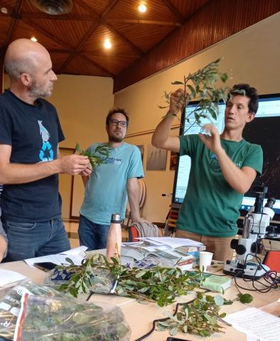 Formation Génie végétal : espèces ligneuses et herbacées - 2024