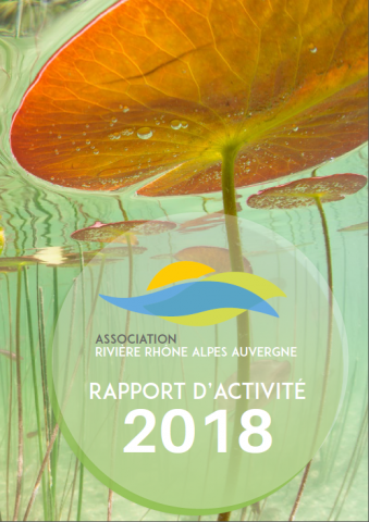 Rapport d'activité 2018