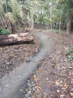 Ruisseau des Assats