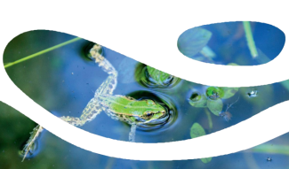 PEL biodiv