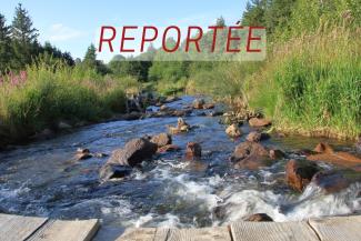 Report - PACP - Lignon