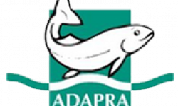 Adapra