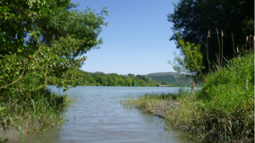 Pêche aux outils scientifiques ZABR