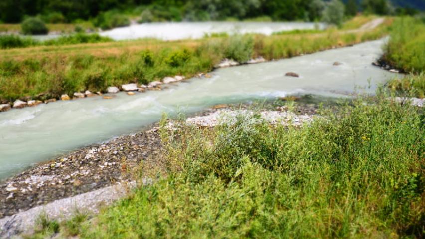 Confluence de l'Arve et du Foron - ARRA²