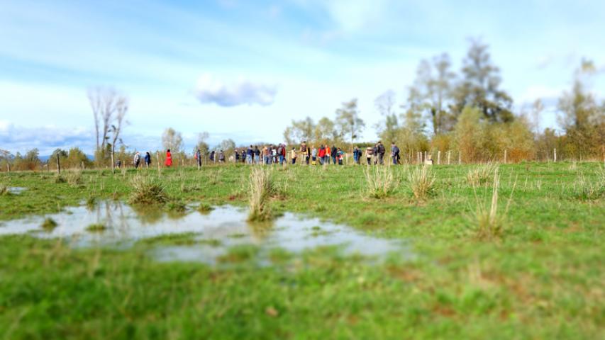 Journées de restitution du projet "Trame Bleue : espaces et continuités" - 2020