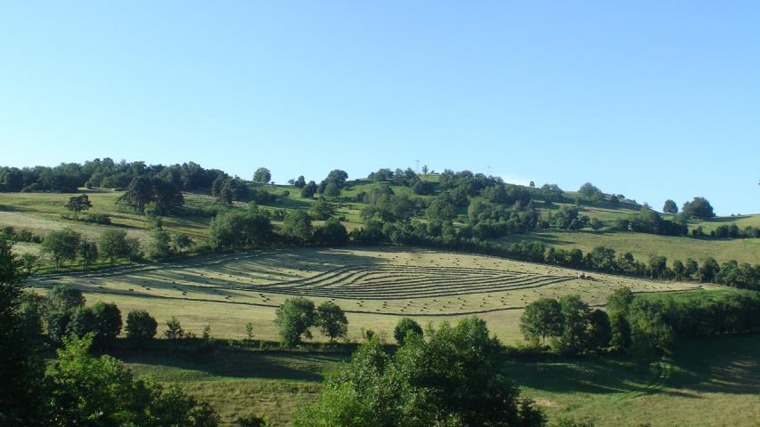 bocage - ©Mission haie auvergne