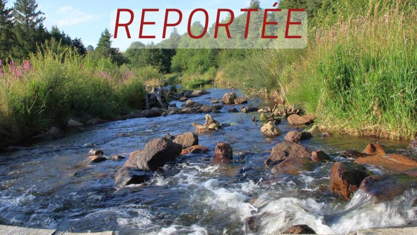 Report - PACP - Lignon