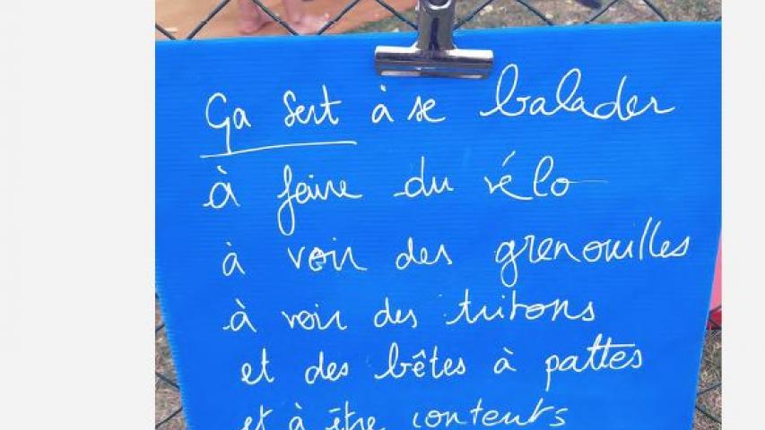 Utilité sociale