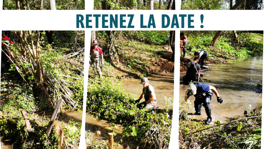 Save-the-date formation LT